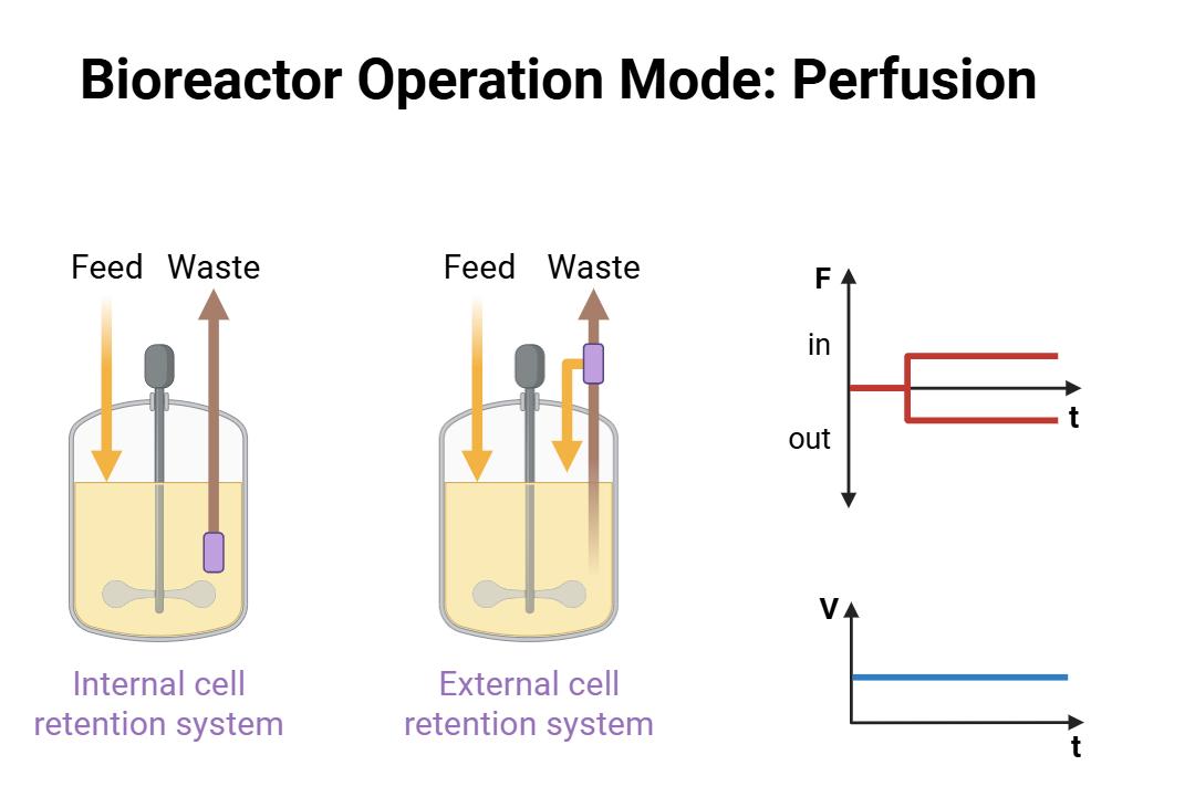 培养条件优化展示