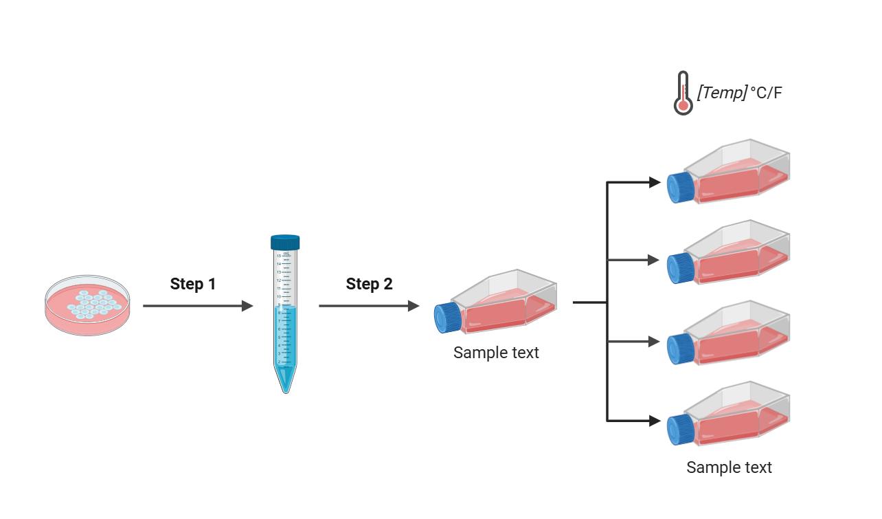 产量提升策略展示