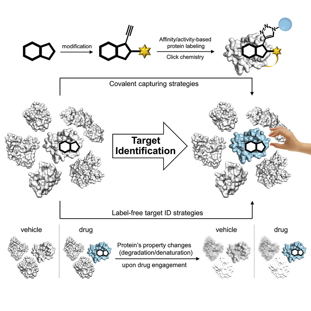 AI驱动的药物靶点识别流程