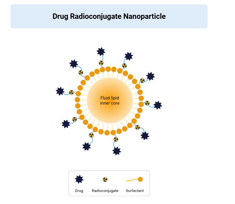 靶点验证实验展示
